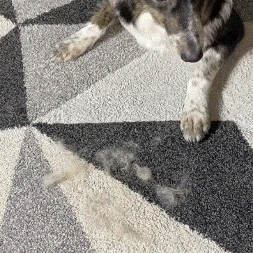 Guante Quitapelo para Mascotas
