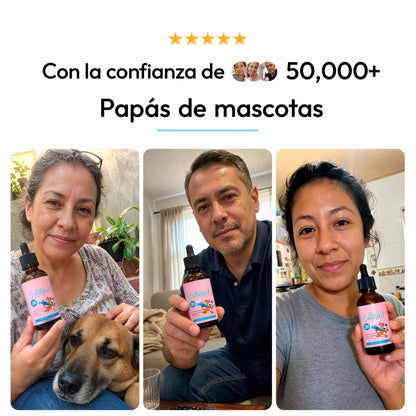 Colágeno Líquido Premium para Perros