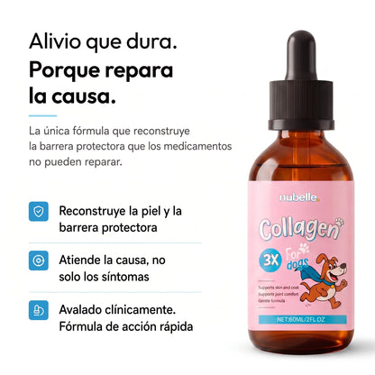 Colágeno Líquido Premium para Perros