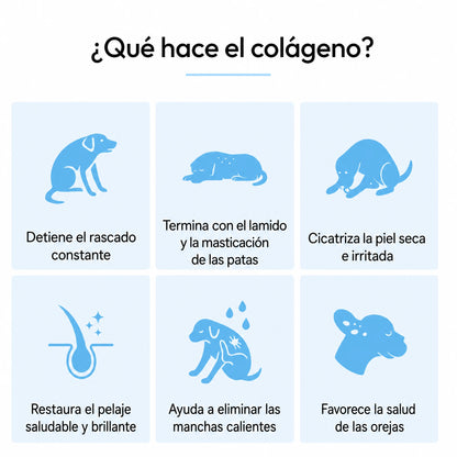 Colágeno Líquido Premium para Perros