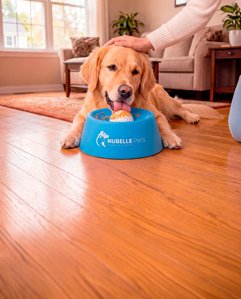 El secreto para un perro tranquilo y feliz