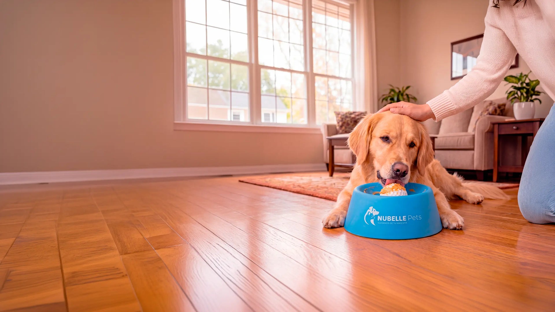 El secreto para un perro tranquilo y feliz