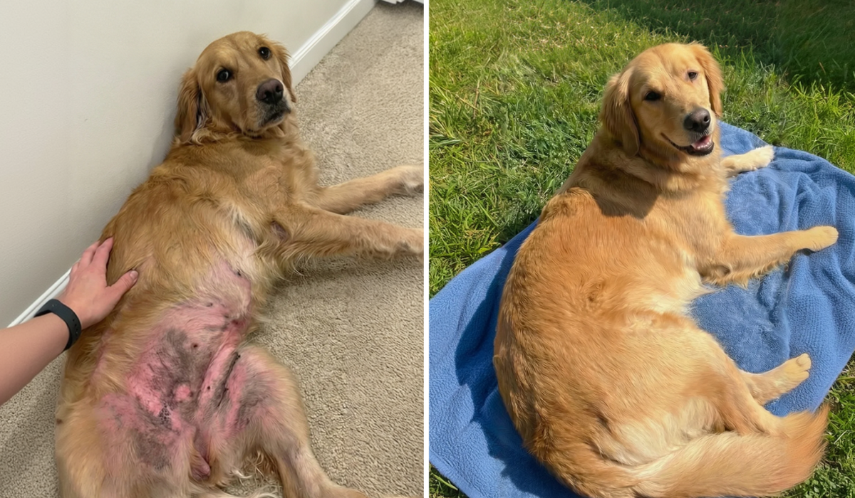 14 meses probando dietas, antes y después
