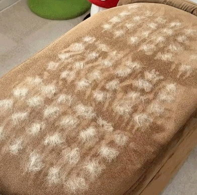 Hasta que probó el guante