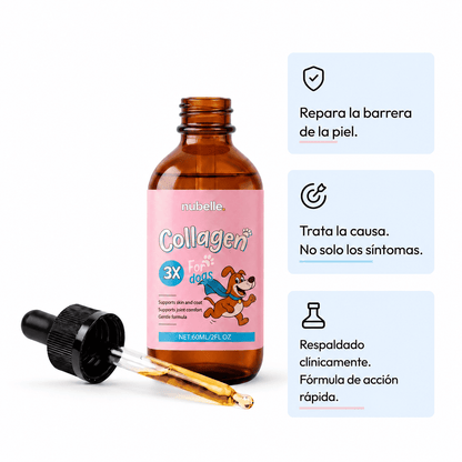 Colágeno Líquido Premium para Perros
