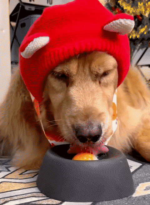 Cuenco Premium Calmante para Perros