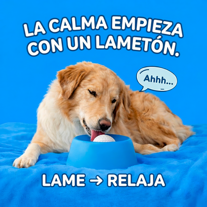 Cuenco Premium Calmante para Perros