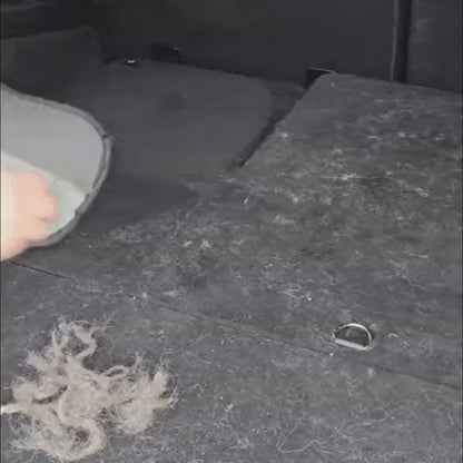 Una pasada del guante por el sofá y el pelo levantado